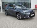 Lexus UX 250h HYBRID F-Sport Design +Leder GPS Carplay Dodehoek Grijs - thumbnail 26
