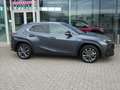 Lexus UX 250h HYBRID F-Sport Design +Leder GPS Carplay Dodehoek Grijs - thumbnail 27