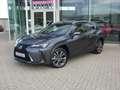 Lexus UX 250h HYBRID F-Sport Design +Leder GPS Carplay Dodehoek Grijs - thumbnail 2