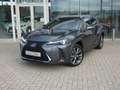 Lexus UX 250h HYBRID F-Sport Design +Leder GPS Carplay Dodehoek Grijs - thumbnail 1