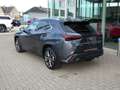 Lexus UX 250h HYBRID F-Sport Design +Leder GPS Carplay Dodehoek Grijs - thumbnail 5
