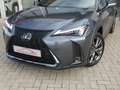 Lexus UX 250h HYBRID F-Sport Design +Leder GPS Carplay Dodehoek Grijs - thumbnail 3