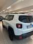 Jeep Renegade 1.0 t3 Night Eagle 2wd Wit - thumbnail 3