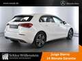 Mercedes-Benz A 200 Progressive/LED/AHK/Pano-D/Business-P/MBUX Weiß - thumbnail 24