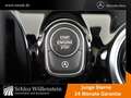 Mercedes-Benz A 200 Progressive/LED/AHK/Pano-D/Business-P/MBUX Weiß - thumbnail 19