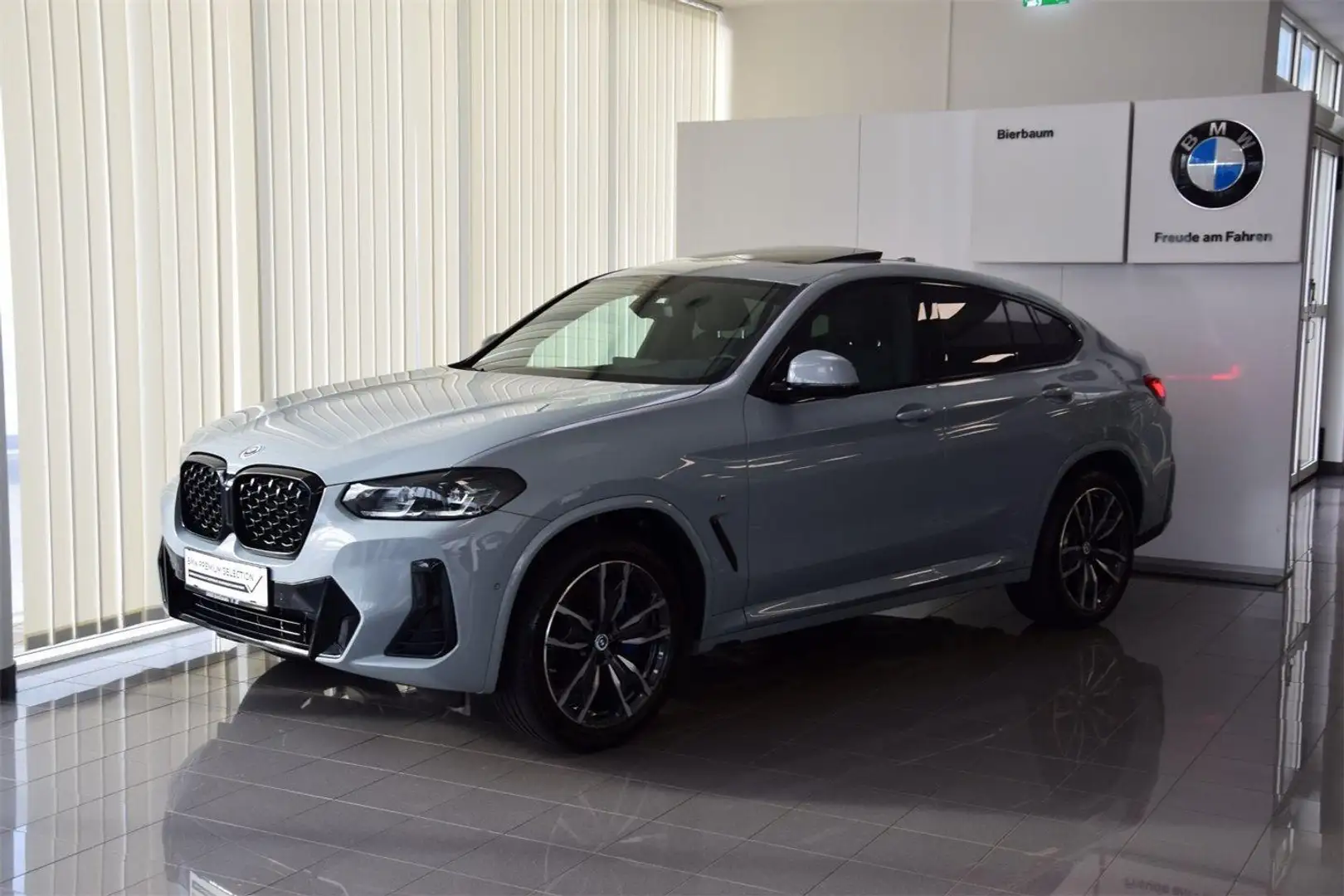 BMW X4 xDrive30i Grau - 1
