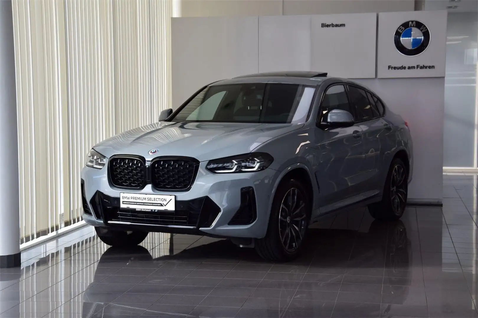 BMW X4 xDrive30i Grau - 2