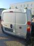 Fiat Fiorino Fiorino Panorama Weiß - thumbnail 3