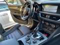 Alfa Romeo Stelvio 190 CV Q4 Sprint Navi Pelle Harman Kardon Grigio - thumbnail 11