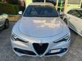 Alfa Romeo Stelvio 190 CV Q4 Sprint Navi Pelle Harman Kardon Grigio - thumbnail 3