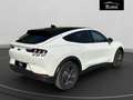 Ford Mustang Mach-E Standard Range Bianco - thumbnail 2