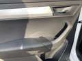 Skoda Karoq 1.5 tsi act Ambition dsg - PROMO Weiß - thumbnail 25