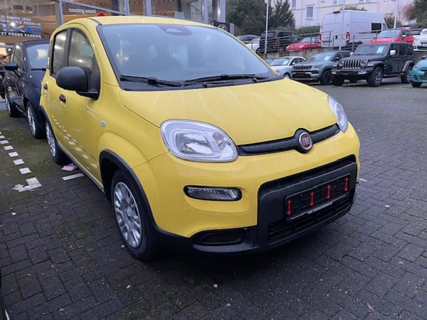 Fiat Panda 1.0 Hybrid SOFORT VERFÜGBAR Gelb - 1