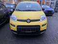 Fiat Panda 1.0 Hybrid SOFORT VERFÜGBAR Gelb - thumbnail 2