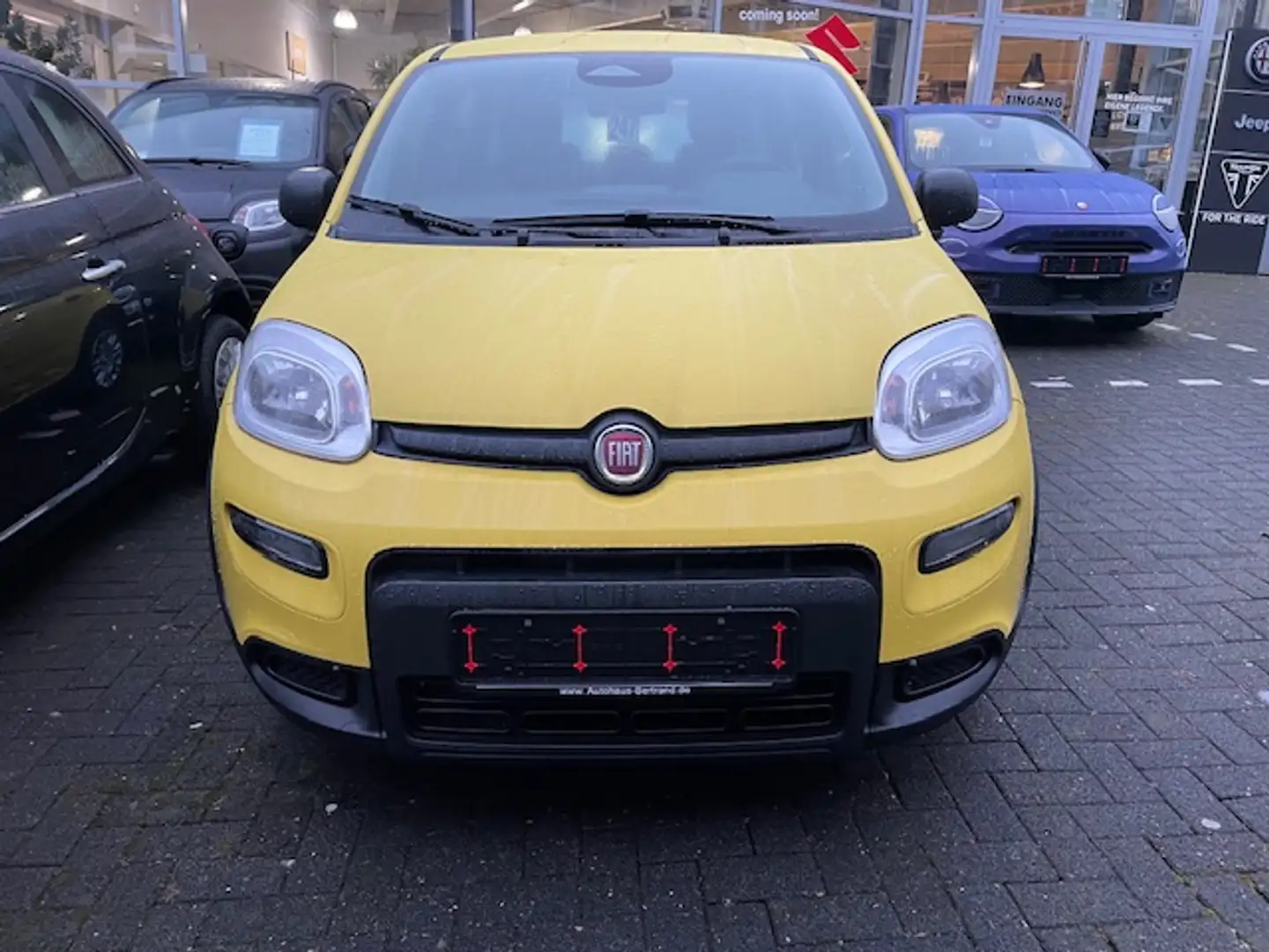 Fiat Panda 1.0 Hybrid SOFORT VERFÜGBAR Gelb - 2