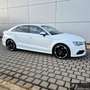 Audi A3 Limo 2,0TDI S line Plus Navi*Leder*Rotor*Kam Weiß - thumbnail 4