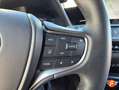 Lexus UX 250h 2.0 Business Verde - thumbnail 21