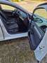 Volkswagen Golf Variant Golf Variant Trendline 1,6 TDI Trendline Weiß - thumbnail 11