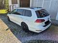 Volkswagen Golf Variant Golf Variant Trendline 1,6 TDI Trendline Weiß - thumbnail 7