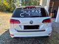 Volkswagen Golf Variant Golf Variant Trendline 1,6 TDI Trendline Weiß - thumbnail 6