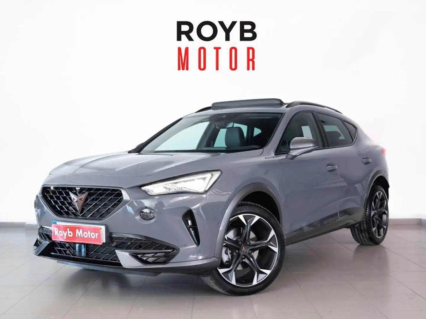 CUPRA Formentor 2.0 TDI 150 DSG 4Drive Gris - 1