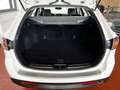 Mazda 6 Sport Kombi 2.2 CD DPF Business-Line Blanco - thumbnail 9
