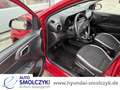 Hyundai i10 1.0 Edition 30 PLUS NAVI+KAMERA+ALLWETTER Rot - thumbnail 5