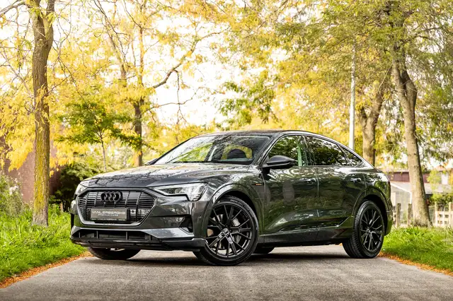Audi E-Tron view 3