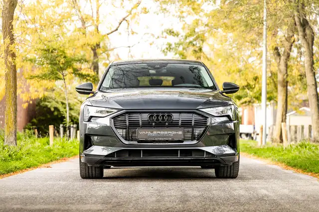 Audi E-Tron view 2