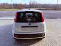 Fiat New Panda ICON - KM 0 10/2025- 5° POSTO - RADIO - SENSORI Alb - thumbnail 5