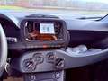 Fiat New Panda ICON - KM 0 10/2025- 5° POSTO - RADIO - SENSORI Alb - thumbnail 12