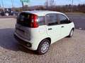 Fiat New Panda ICON - KM 0 10/2025- 5° POSTO - RADIO - SENSORI Alb - thumbnail 6