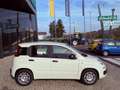 Fiat New Panda ICON - KM 0 10/2025- 5° POSTO - RADIO - SENSORI Alb - thumbnail 7
