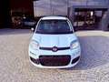 Fiat New Panda ICON - KM 0 10/2025- 5° POSTO - RADIO - SENSORI Alb - thumbnail 2