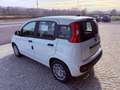 Fiat New Panda ICON - KM 0 10/2025- 5° POSTO - RADIO - SENSORI Alb - thumbnail 4