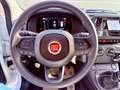 Fiat New Panda ICON - KM 0 10/2025- 5° POSTO - RADIO - SENSORI Alb - thumbnail 13