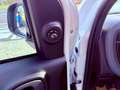 Fiat New Panda ICON - KM 0 10/2025- 5° POSTO - RADIO - SENSORI Alb - thumbnail 11