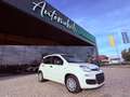 Fiat New Panda ICON - KM 0 10/2025- 5° POSTO - RADIO - SENSORI Alb - thumbnail 1