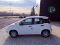Fiat New Panda ICON - KM 0 10/2025- 5° POSTO - RADIO - SENSORI Alb - thumbnail 3