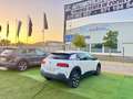 Citroën C4 Cactus 1.5BlueHDi S&S C-Series 100 - thumbnail 9