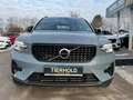 Volvo XC40 T4 Plus Dark Plug-In 2WD AHK Kamera HK Grau - thumbnail 10