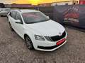 Skoda Octavia 2,0 TDI DSG - ACC - LED - Assist Package - TOP - Weiß - thumbnail 2