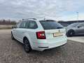 Skoda Octavia 2,0 TDI DSG - ACC - LED - Assist Package - TOP - Weiß - thumbnail 11