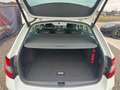 Skoda Octavia 2,0 TDI DSG - ACC - LED - Assist Package - TOP - Weiß - thumbnail 18