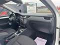 Skoda Octavia 2,0 TDI DSG - ACC - LED - Assist Package - TOP - Weiß - thumbnail 29