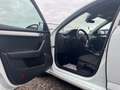Skoda Octavia 2,0 TDI DSG - ACC - LED - Assist Package - TOP - Weiß - thumbnail 30