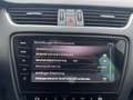 Skoda Octavia 2,0 TDI DSG - ACC - LED - Assist Package - TOP - Weiß - thumbnail 40