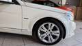 Mercedes-Benz C 200 200CDI Avantgarde Aut. Blanco - thumbnail 5
