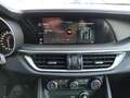 Alfa Romeo Stelvio 2.2 Turbodiesel 210 CV AT8 Q4 Ti Blu/Azzurro - thumbnail 11