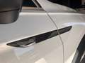Volkswagen Tiguan Tiguan 2.0 tdi R-Line BM 4motion dsg Blanc - thumbnail 13